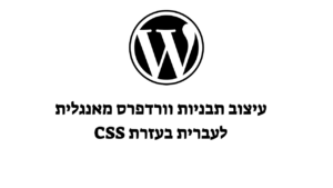 תבנית וורדפרס בעברית- איך לקחת תבנית וורדפרס באנגלית ולשלוט בה בעזרת CSS ללא ידע בקוד!