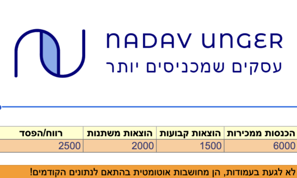 תחזית עסקית לחנות איקורמס