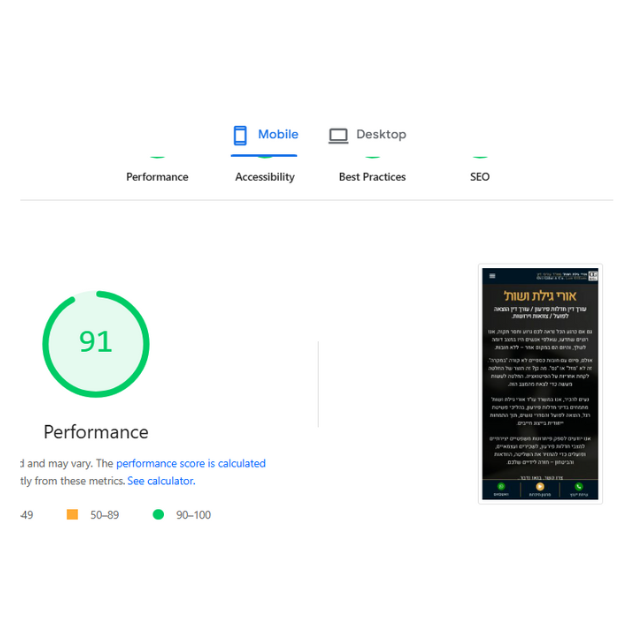 ציון מהירות של אתר בpagespeed insights - ציון 91 במובייל
